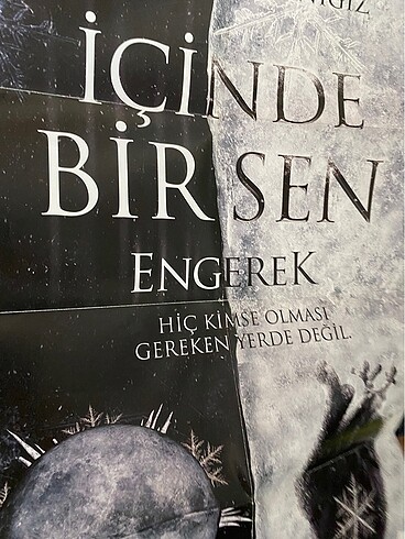  İÇİNDE BİR SEN ENGEREK -BİNNUR SAFAK NİGİZ