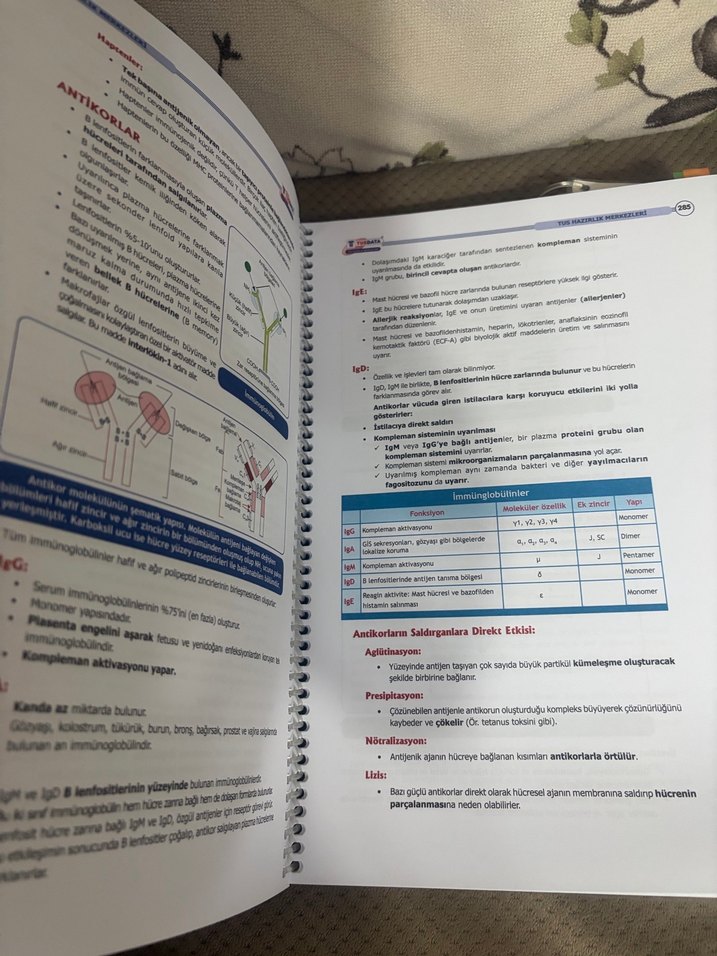 Fizyoloji, Histoloji ve Embriyoloji Ders Notları 1-2 - Görsel 4