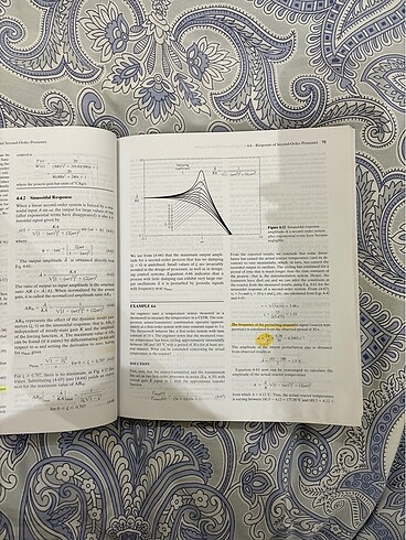Beden Renk Process Dynamics and Control