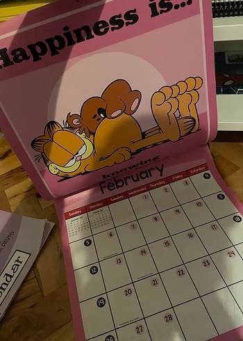 İMZALI Garfield 2016 Takvim Seti - Görsel 8