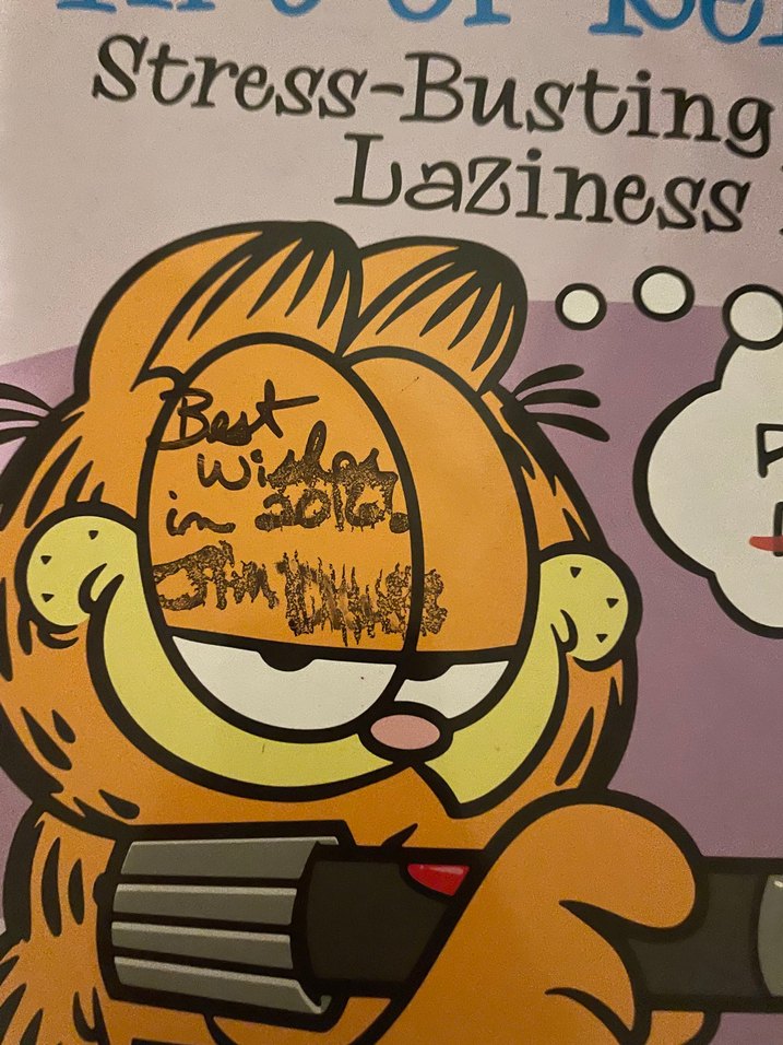 İMZALI Garfield 2016 Takvim Seti - Görsel 5