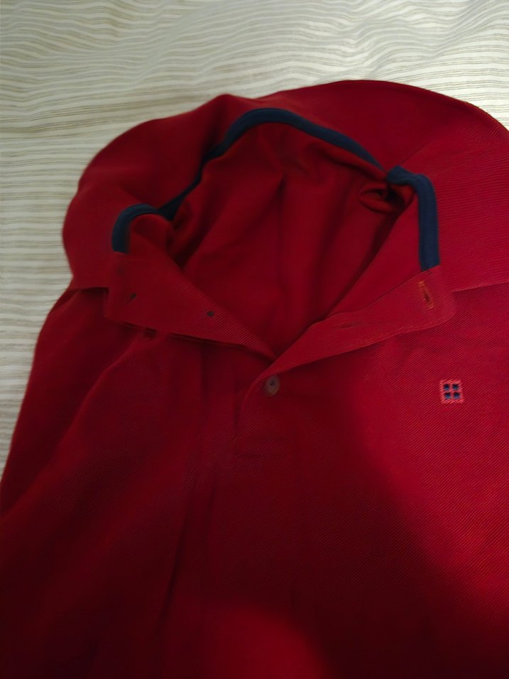 avva bordo Erkek Polo Tişört - Görsel 2