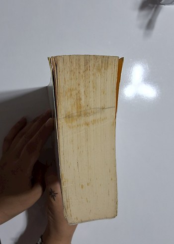 Beden Renk Olasılıksız'ın Yazarı Adam Fawer'dan Empati Romanı