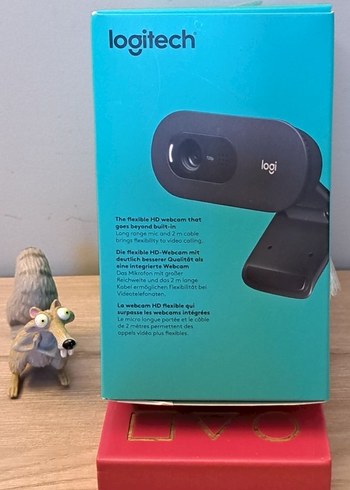 Logitech C505 HD Webcam - Görsel 3