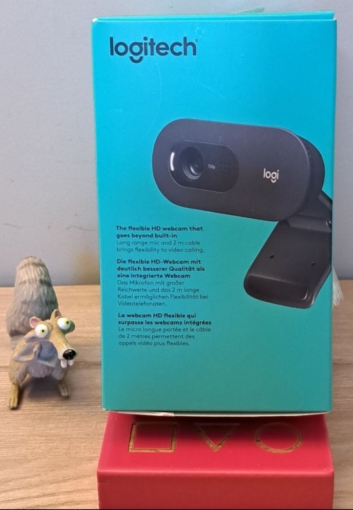 Logitech C505 HD Webcam - Görsel 3