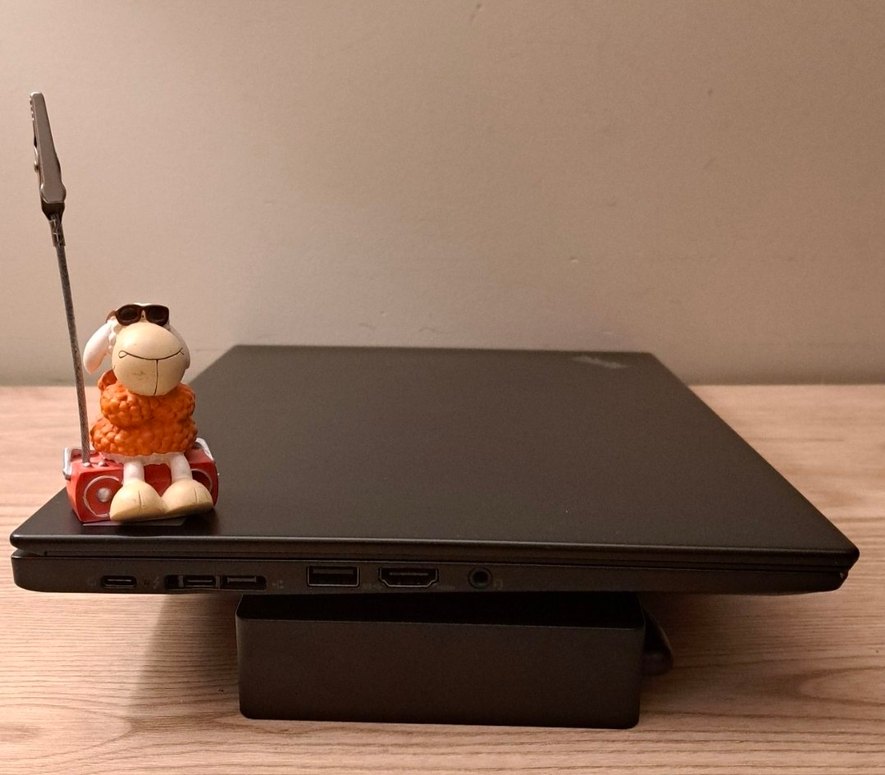 LENOVO ThinkPad X390 - Görsel 5