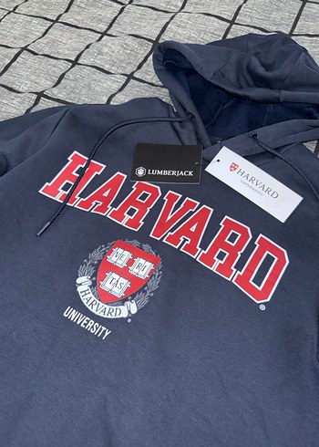 Sweatshirt Lumberjack - Görsel 3