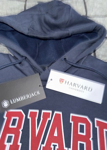 Sweatshirt Lumberjack - Görsel 4