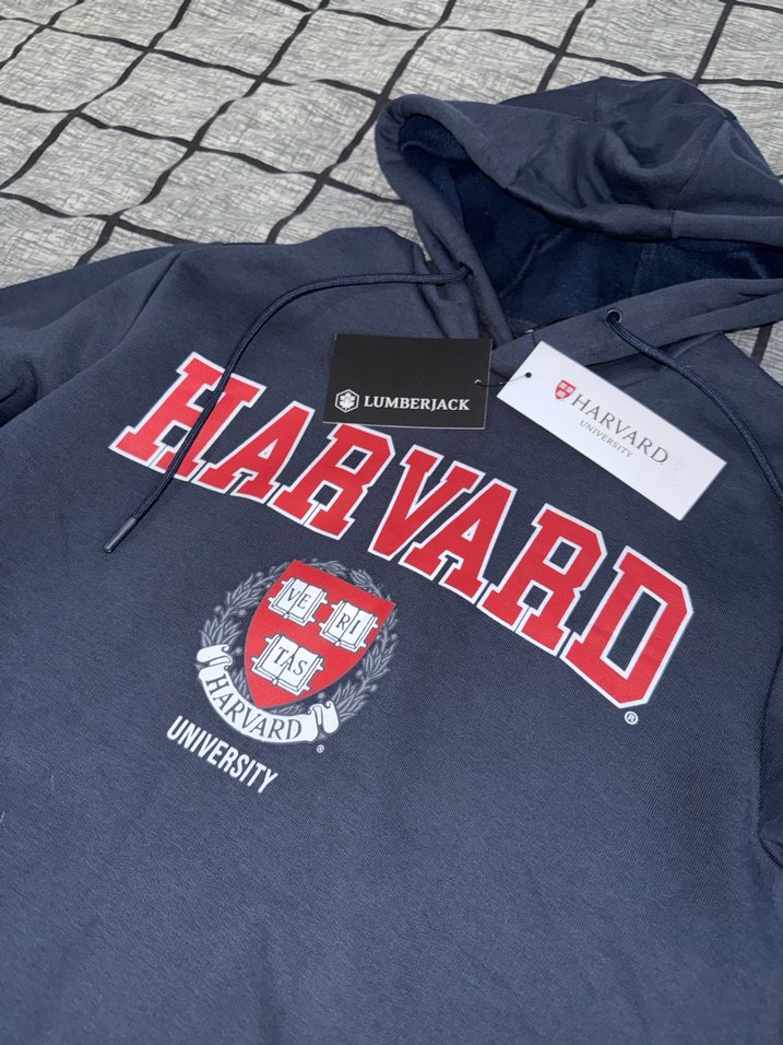 Sweatshirt Lumberjack - Görsel 3