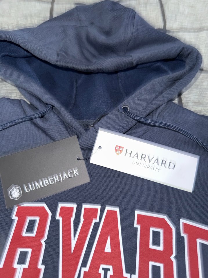 Sweatshirt Lumberjack - Görsel 4