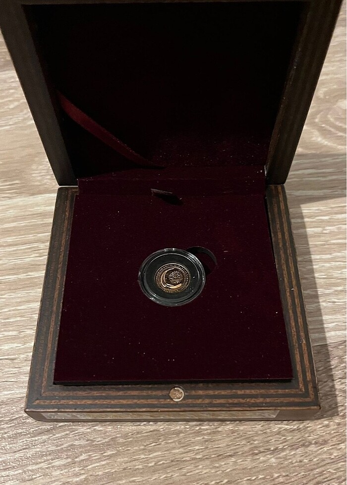 Türkiye Cumhuriyeti Altın Hatıra Parası - Görsel 5