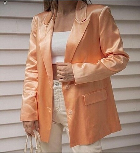 Zara ceket