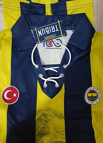 Fenerbahçe 100. Yıl forması 