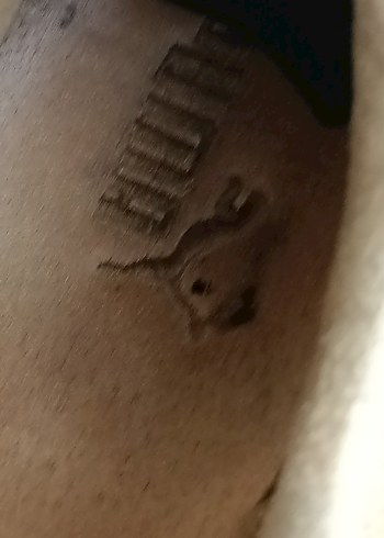 Bej Bağcıklı Kadın Spor Ayakkabı - Görsel 4