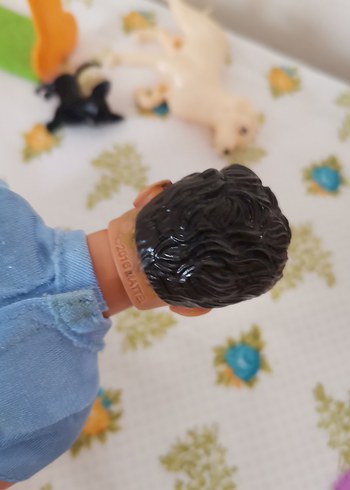 Beden Renk Ken (Barbie)