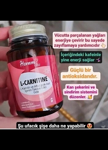 L-Carnitin Antioksidan Kilo Verdirici