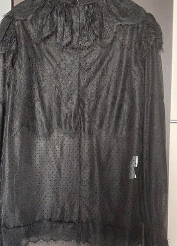 moda ilgi