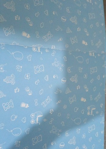 Mavi albüm - Görsel 2