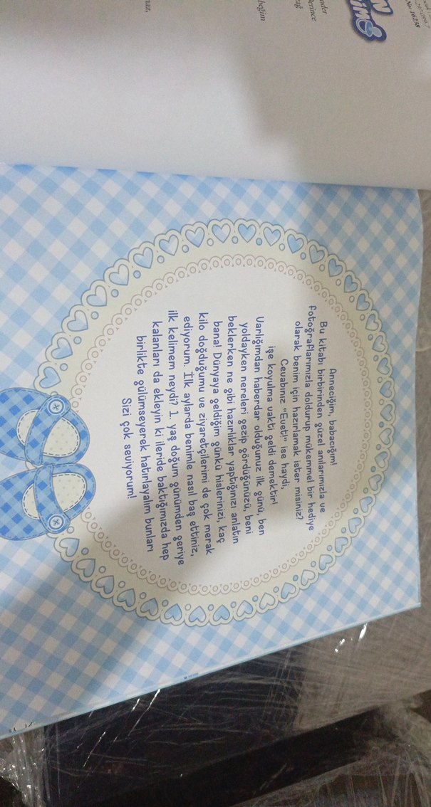 Mavi albüm - Görsel 3