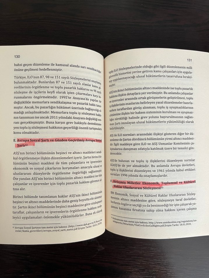 Endüstri İlişkileri - Prof. Dr. Türker Topalhan - Görsel 3
