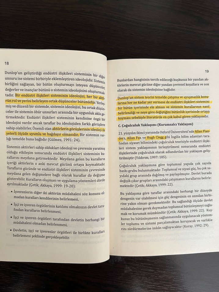 Endüstri İlişkileri - Prof. Dr. Türker Topalhan - Görsel 2