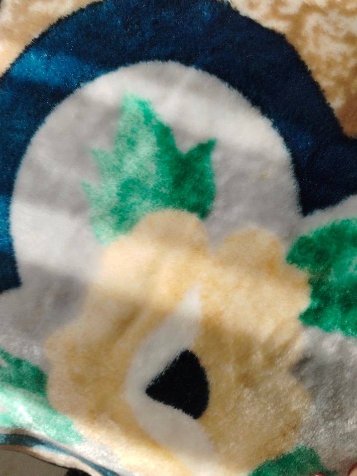 Çiçek Desenli Açık Kahverengi Battaniye - Görsel 3