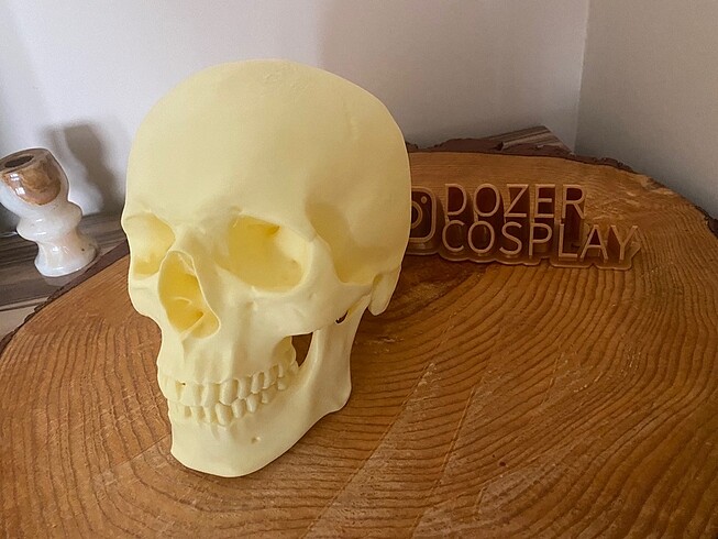 Beden ten rengi Renk Medikal kurukafa kafatası maket 3d