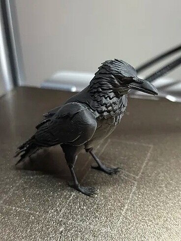 Beden Renk Karga kuzgun hayvan kuş maket 3d