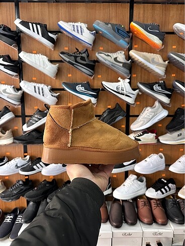 UGG POLARLI BOT