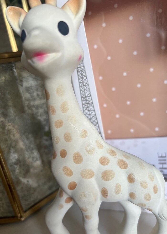 sophie la gırafe dış kaşıyıcı - Görsel 2