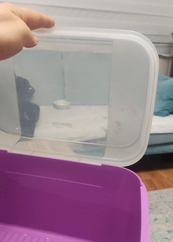 Tupperware Pastel Mor Plastik Saklama Kabı - Görsel 3