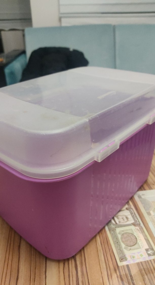 Tupperware Pastel Mor Plastik Saklama Kabı - Görsel 5