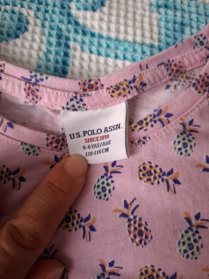 2 adet u.s polo tişört - Görsel 3