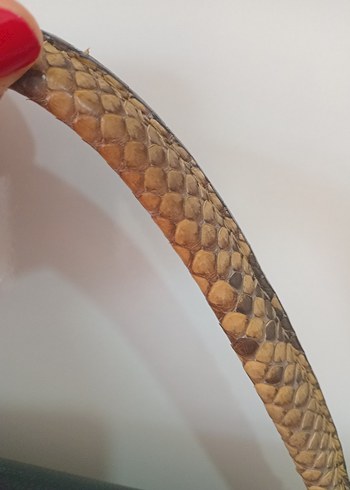 Gerçek Yılan Derisi Detaylı Siyah Hakiki Deri Kadın Çanta - Görsel 2