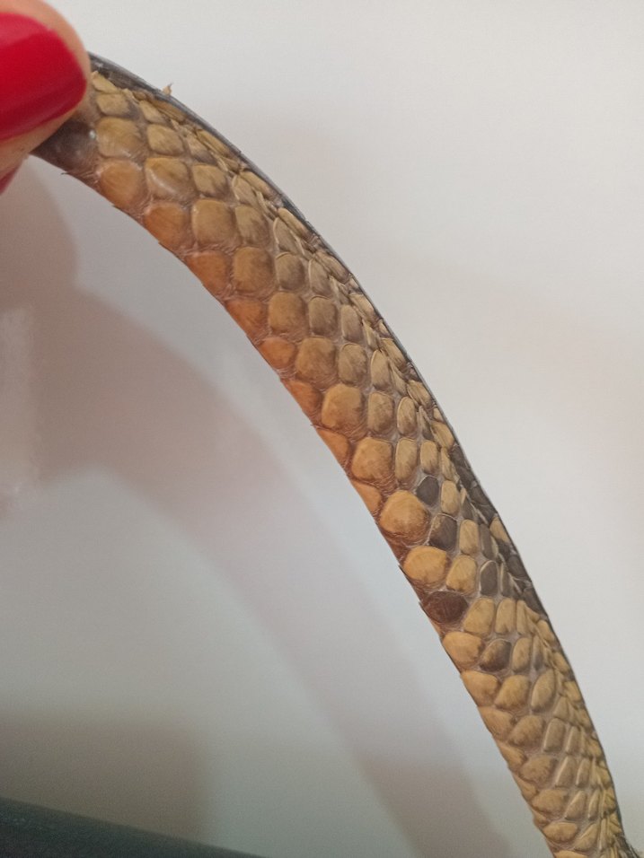 Gerçek Yılan Derisi Detaylı Siyah Hakiki Deri Kadın Çanta - Görsel 2