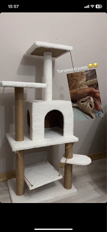 Satılık kedi evi