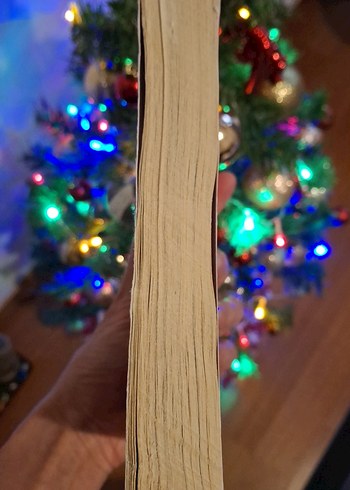 Tis The Season For Revenge - Morgan Elizabeth - Görsel 2