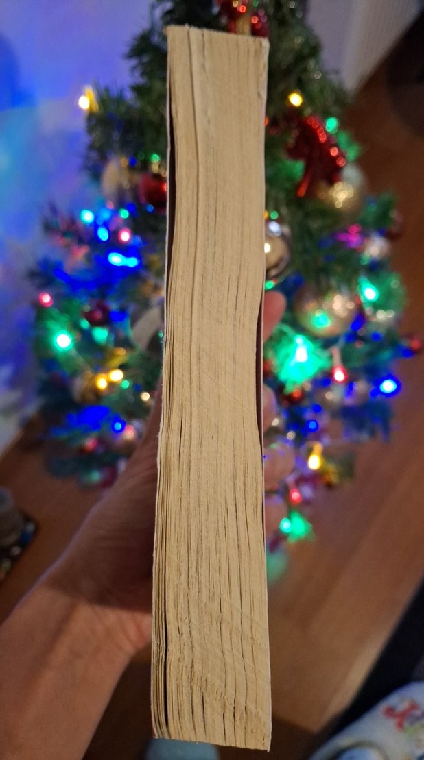 Tis The Season For Revenge - Morgan Elizabeth - Görsel 2