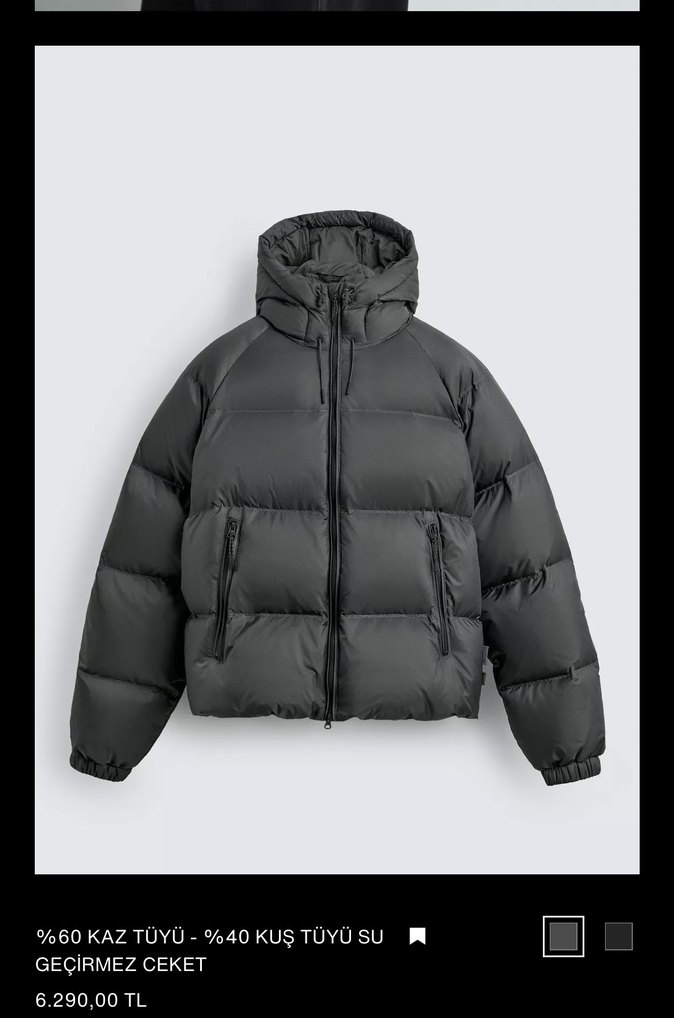 Zara kuş tüyü mont - Görsel 2