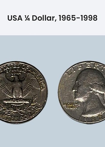 Vintage Gri ABD ¼ Dolar Rozeti