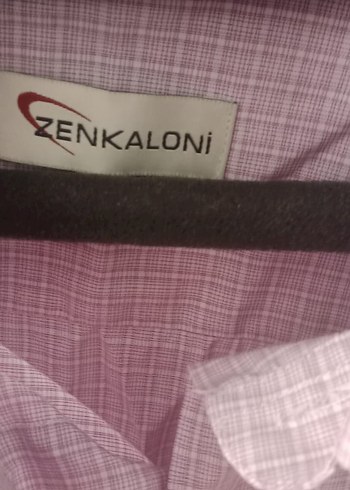 Diğer Pembe Keten Erkek Gömlek, Düğmeli, Normal Boy