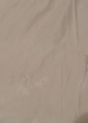 İşlemeli Parlak Krem Yatak Örtüsü - Görsel 11