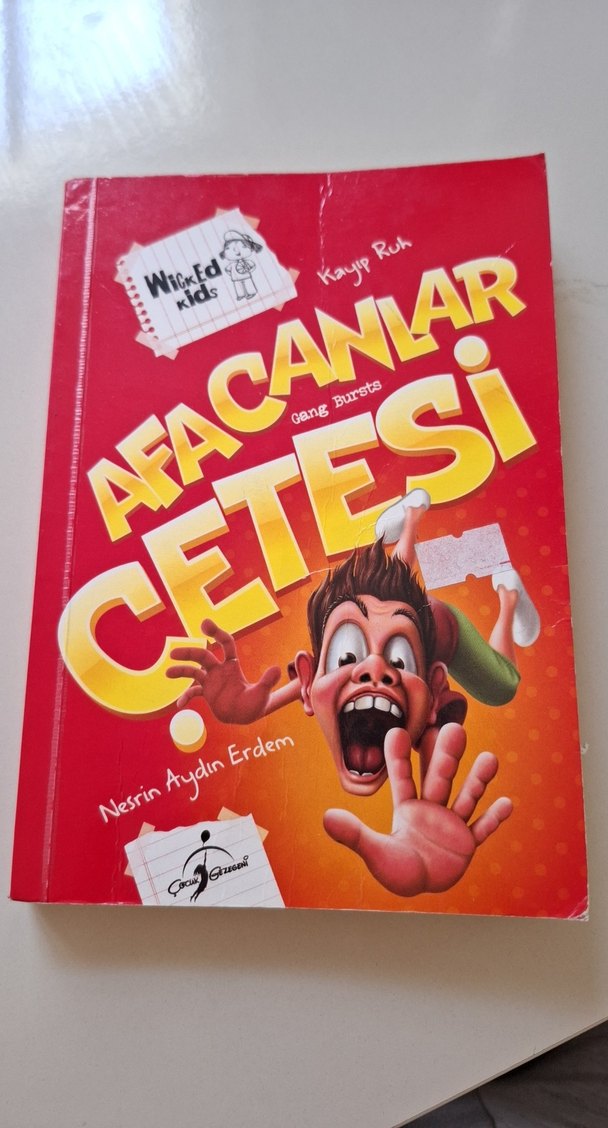 Afacanlar Çetesi - Çocuk Kitabı - Görsel 2