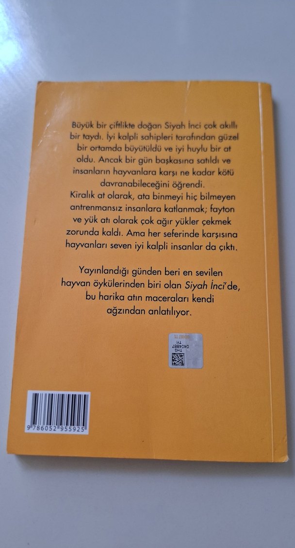 siyah inci - Görsel 2