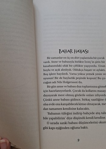 Nils ve Olağanüstü Maceraları - Selma Lagerlöf - Görsel 4