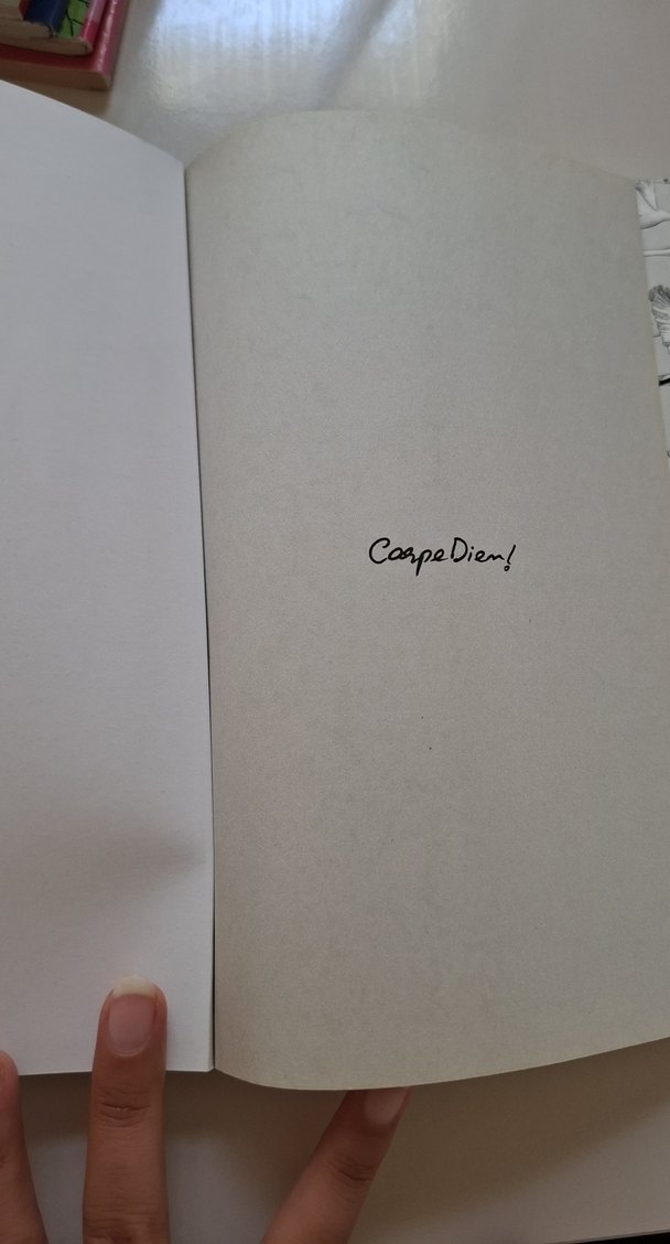 Nils ve Olağanüstü Maceraları - Selma Lagerlöf - Görsel 3