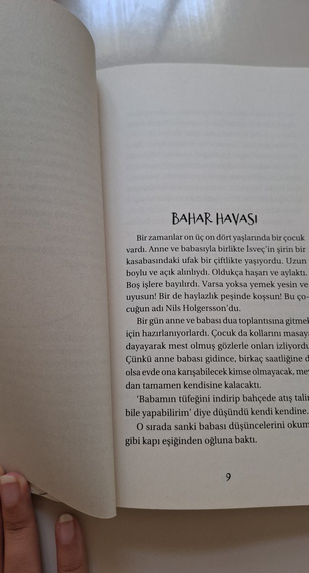 Nils ve Olağanüstü Maceraları - Selma Lagerlöf - Görsel 4