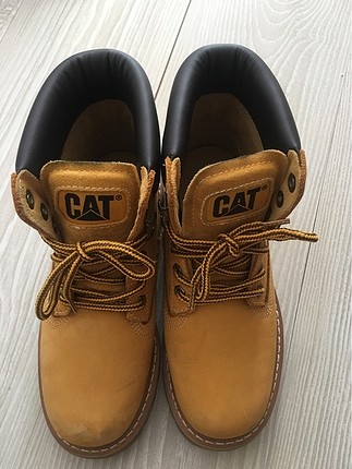 Cat boy