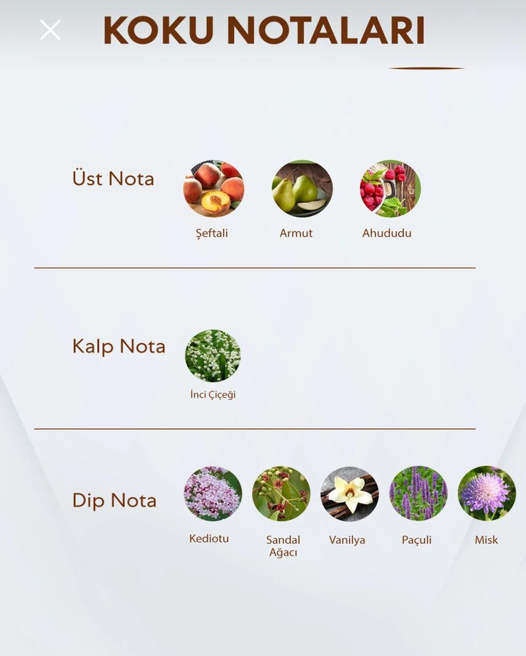 Bargello 451 EDP 50 ml - Görsel 4