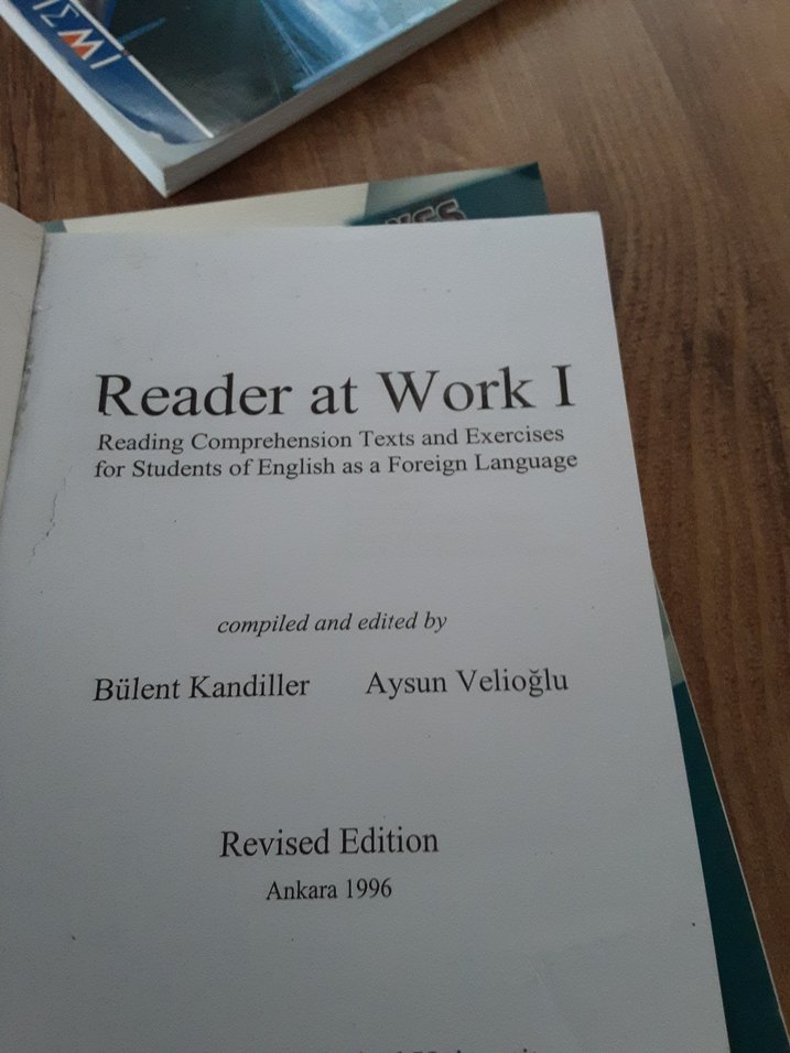 Reader at Work I - Üniversite Kitabı - Görsel 2